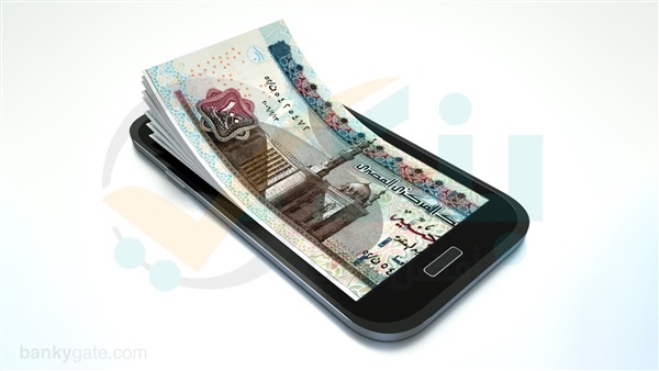 محفظة التاجر QPay