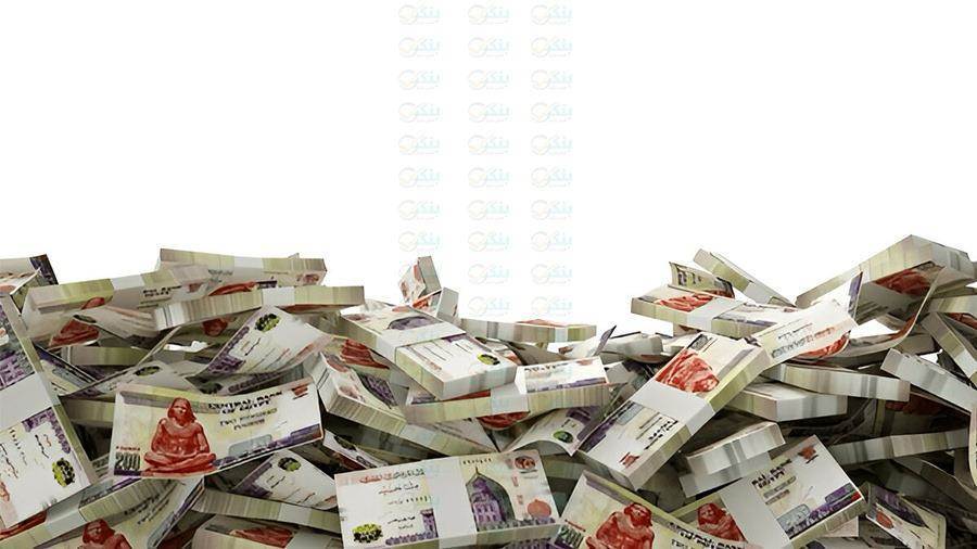 الأفراد يستحوذون على 21.3% من قروض البنوك المدرجة بالبورصة بنهاية 2025 الأفراد يستحوذون على 21.3% من قروض البنوك المدرجة بالبورصة بنهاية 2025