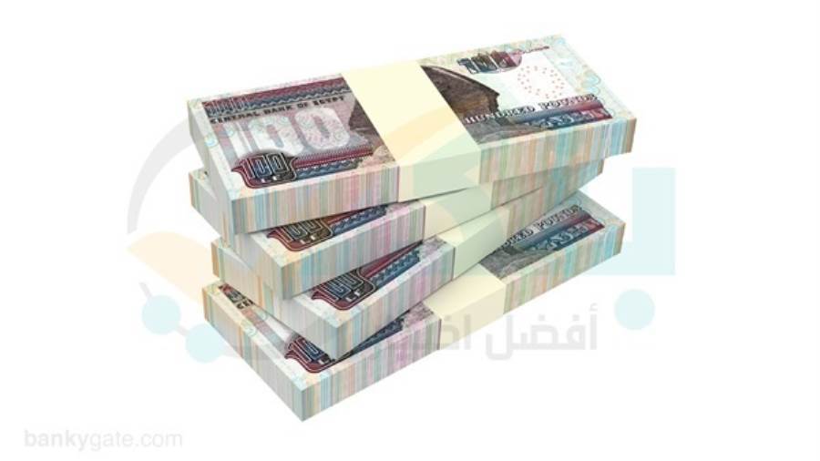 الأفراد يستحوذون على 20.9% من إجمالي قروض البنوك المدرجة بالبورصة بالنصف الأول من 2026 الأفراد يستحوذون على 20.9% من إجمالي قروض البنوك المدرجة بالبورصة بالنصف الأول من 2026