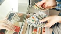 الدولار يتراجع أمام الجنيه خلال تعاملات اليوم ويسجل 50.33 جنيه للبيع في البنك الأهلي المصري