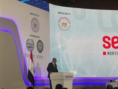 "عامر": القيادة السياسية عززت الاصلاحات الاقتصادية بتعظيم دور الخدمات المالية