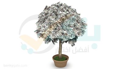 أعلى عائد على الشهادات الادخارية الثلاثية الثابتة في 10 بنوك
