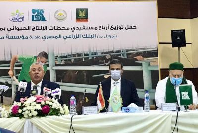 فاروق: 120 مليون جنيه تمويلات البنك الزراعي لمشروع تسمين الماشية