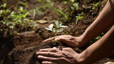 ماستركارد ترحب بانضمام 3 جهات جديدة لتحالف «من أجل كوكبنا الثمين» لمواجهة التغير المناخي