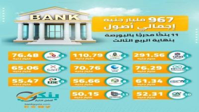 967 مليار جنيه إجمالي أصول 11 بنكًا مدرجًا بالبورصة بنهاية الربع الثالث «إنفوجرافيك»