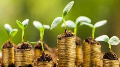 3.6 مليار دولار إجمالي تمويلات «التنمية الإفريقي» للمشروعات الخضراء في 2019