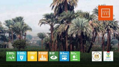 بنك الإسكندرية في يوم البيئة: الدولة بذلت جهودًا كبيرة لتمهيد الطريق لمستقبل أخضر