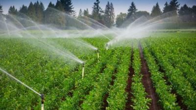 عبدالعاطي يوجه بزيادة المجهودات لتنفيذ مشروعات الري الحديث بالتعاون مع بنكي الأهلي والزراعي