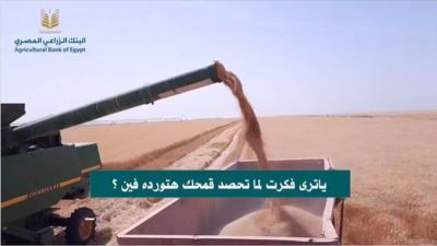 البنك الزراعي يعلن توفير شون وصوامع لاستلام محصول القمح «فيديو»