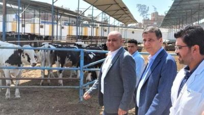 علاء فاروق: البنك الزراعي يستهدف التوسع في تمويل مشروعات الإنتاج الحيواني