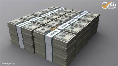 المركزي: 35.5% نموًا بودائع البنوك بالعملة الأجنبية خلال 8 أشهر