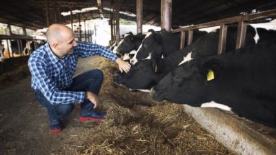 بفائدة 5%..تفاصيل قرض البتلو من البنك الزراعي المصري