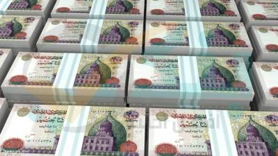 الشركات تستحوذ على 78.5% من قروض البنوك المدرجة بالبورصة بنهاية 2024