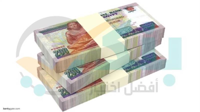 محفظة قروض بنك قناة السويس ترتفع لـ127.042 مليار جنيه بنهاية 2025